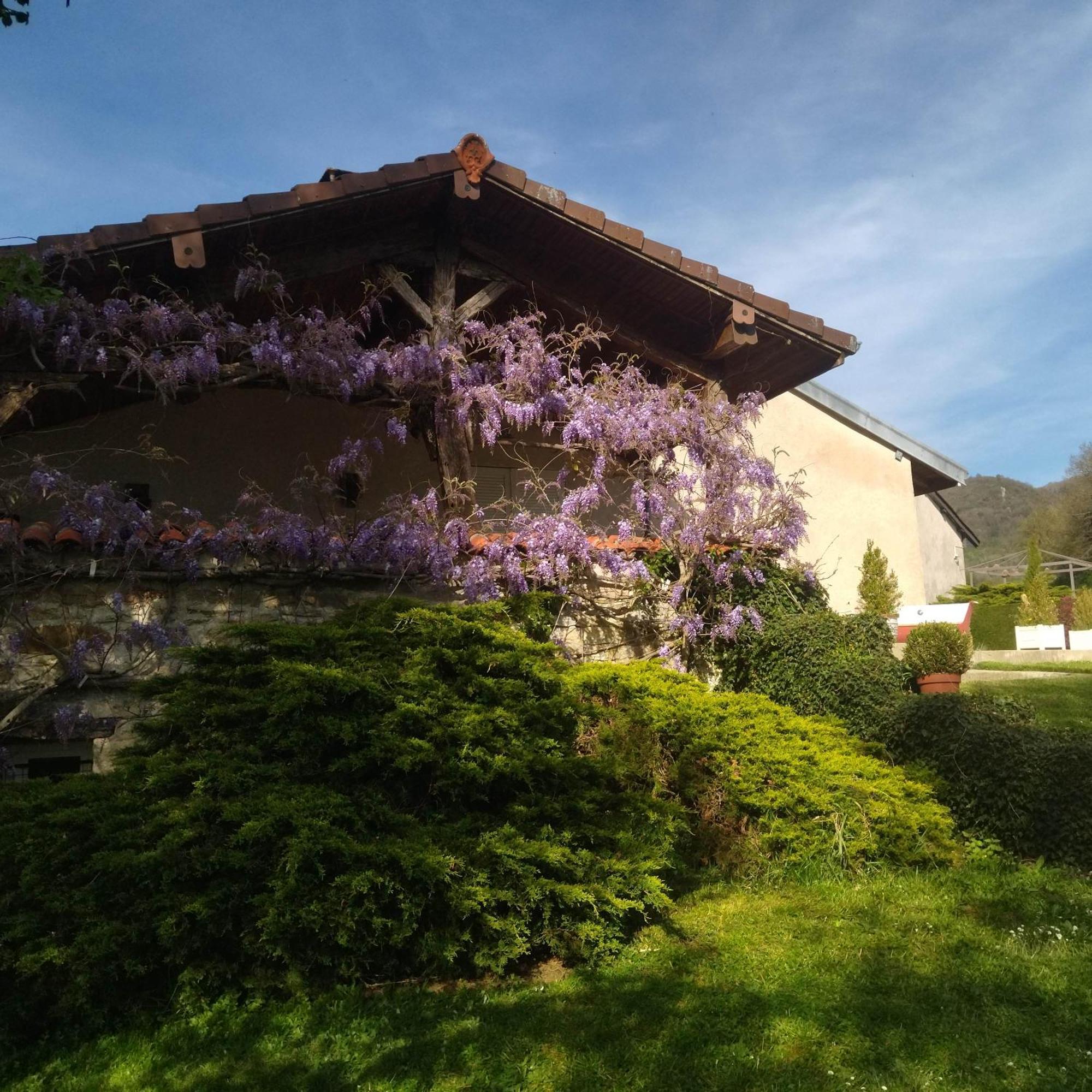 Gite De L'Ancheronne 12 Couchages Spa Lavans-sur-Valouse Kültér fotó