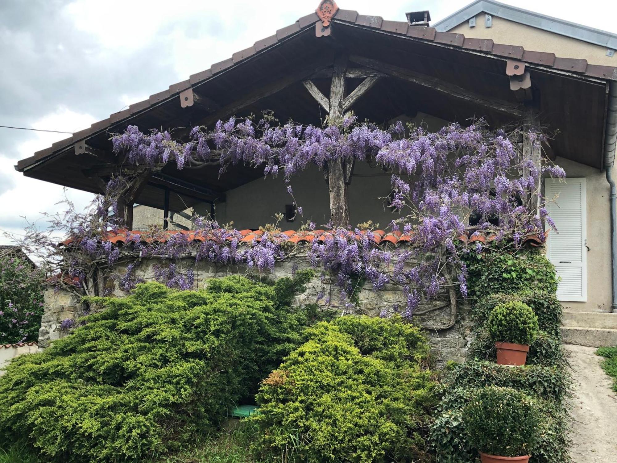 Gite De L'Ancheronne 12 Couchages Spa Lavans-sur-Valouse Kültér fotó